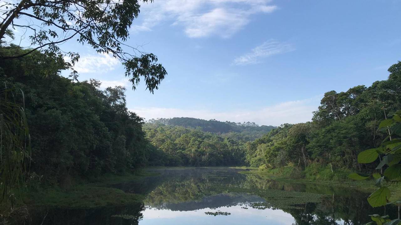 Imagem do Atendimento Individual com Ayahuasca